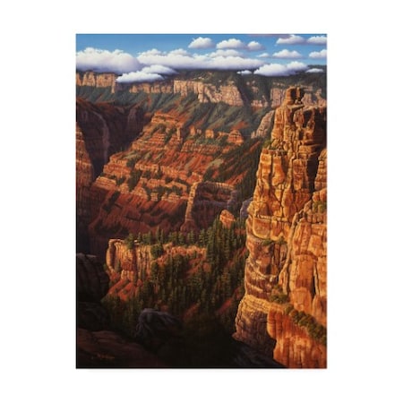 R W Hedge 'World Of Wonders Canyon' Canvas Art,35x47